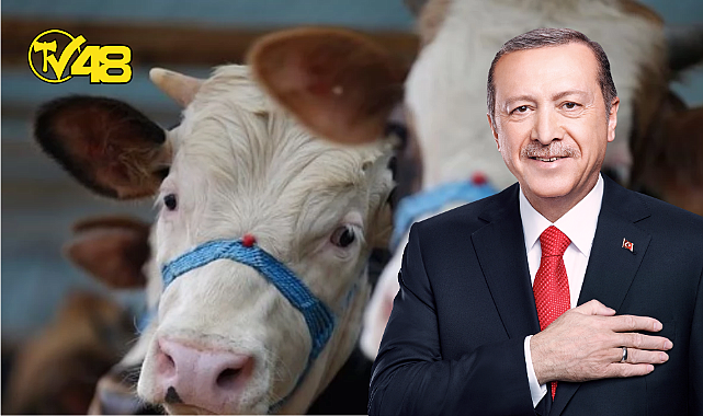 ERDOĞAN'DAN BAYRAM TATİLİ MÜJDESİ: 9 GÜN!