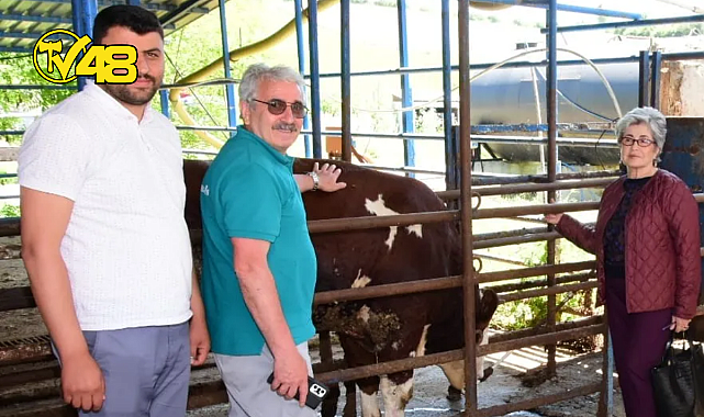 HAYTAP SAMSUN İL TEMSİLCİLİĞİ BİR İLKE İMZA ATTI! ACISIZ KESİM BAŞLADI