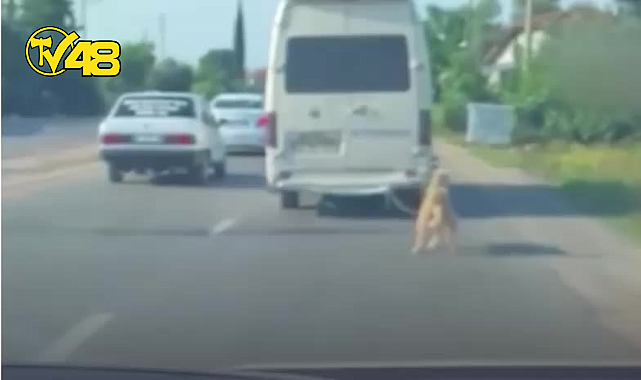 MİNİBÜSÜN ARKASINA BAĞLANAN KÖPEĞİ ZORLA GÖTÜREN SÜRÜCÜYE ADLİ İŞLEM