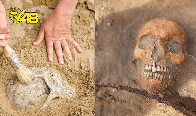 YOL ÇALIŞMASI ESNASINDA 450 'VAMPİR' İSKELETİ BULUNDU