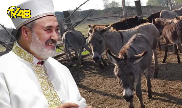 ANKARA İL MÜFTÜSÜNDEN TARTIŞMA YARATACAK FETVA: YABANİ EŞEĞİN ETİ DE SÜTÜ DE HELALDİR