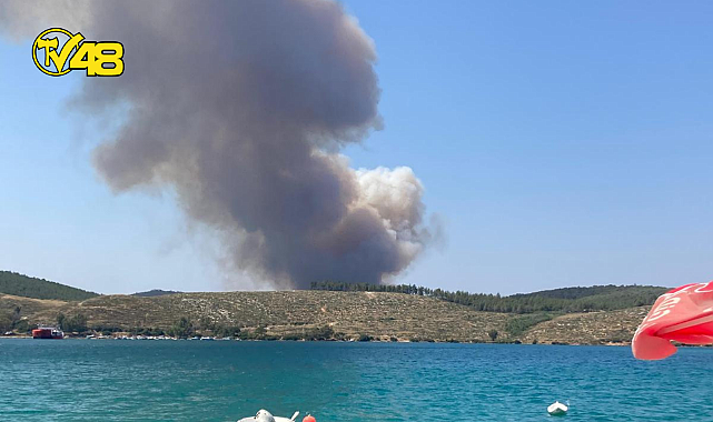 BODRUM - GÜVERCİNLİK'TE ORMAN YANGINI!