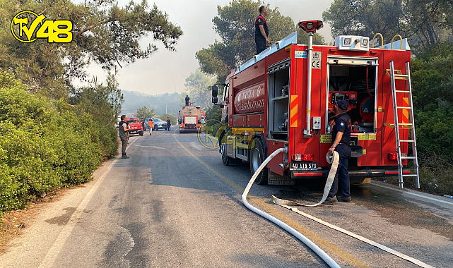 MİLAS'IN BOĞAZİÇİ MAHALLESİNDE MEYDANA GELEN ORMAN YANGININA MÜDEHALE ÇALIŞMALARI SÜRÜYOR