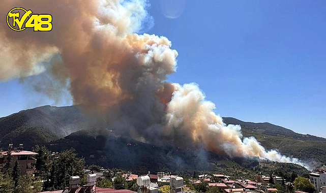 HATAY BELEN'DE ORMAN YANGINI ÇIKTI