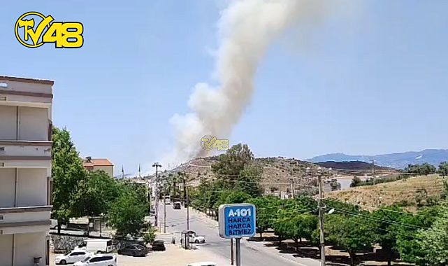 MİLAS ESKİ DEVLET HASTANESİ KARŞISINDA YANGIN ÇIKTI!