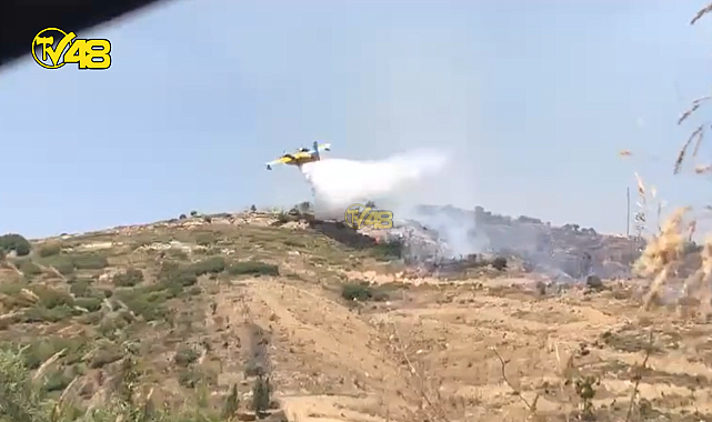 MİLAS'TA ÇIKAN YANGIN İÇİN 3 UÇAK 2 HELİKOPTER HAVADAN MÜDAHALE EDİYOR!