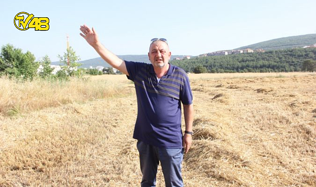 MUĞLA TMO'DAN RANDEVU ALAMAYAN ÇİFTÇİNİN MAHSÜLÜ ELİNDE KALDI