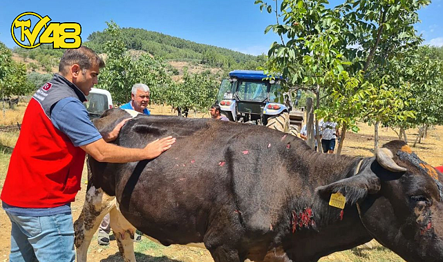 ALGI'DA HAYVANCILIK İŞLETMESİNDE YANGIN