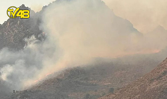 BODRUM/AKYARLAR'DA MAKİLİK ALANDA YANGIN BAŞLADI