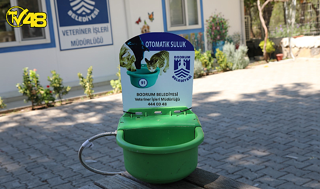 BODRUM BELEDİYESİ'NDEN SOKAK HAYVANLARI İÇİN OTOMATİK SULUK