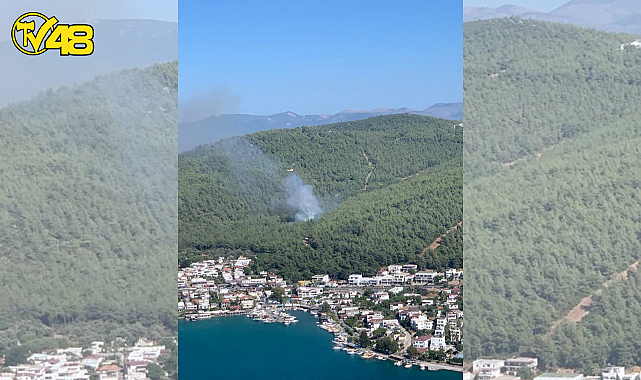 BODRUM GÜVERCİNLİK'TE ORMANLIK ALANDA YANGIN