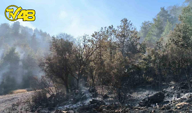 BOLU GÖYNÜK'TEKİ ORMAN YANGINI 26,5 SAAT SONUNDA KONTROL ALTINA ALINDI!