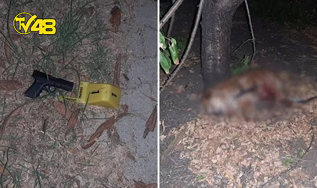 EV SAHİBİ KİRACISINI BIÇAKLAYIP, KÖPEĞİNİ ÖLDÜRDÜ
