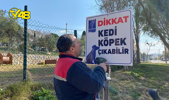 KUŞADASI'NDA ÖRNEK UYGULAMA: DİKKAT KEDİ-KÖPEK ÇIKABİLİR
