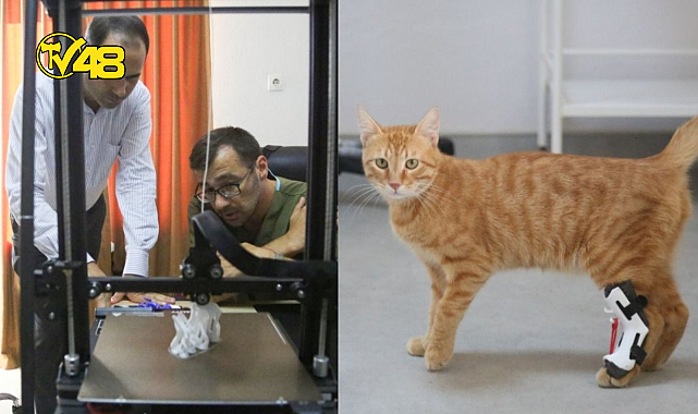 MİLAS VETERİNER FAKÜLTESİ ÜÇ BOYUTLU YAZICIYLA ELDE ETTİĞİ ORTEZ,İLE KEDİNİN YÜRÜMESİNE DESTEK OLDU