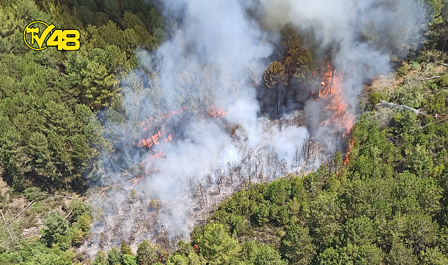 MUĞLA ULA'DA ORMAN YANGINI