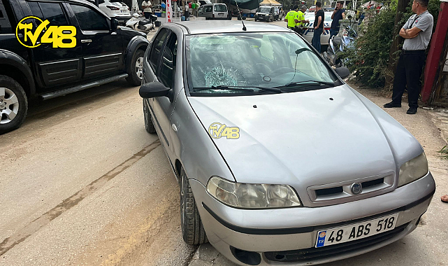 KÖPEKTEN KORKAN YAYA, ARAÇ ÇARPMASI SONUCU YARALANDI