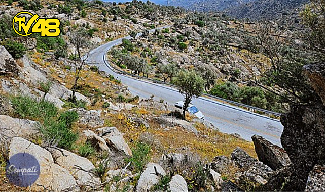 EGE'NİN GÜZELLİKLERİNDE BİR YATIRIM FIRSATI: MİLAS'A 7KM MANZARALI SATILIK ZEYTİNLİK