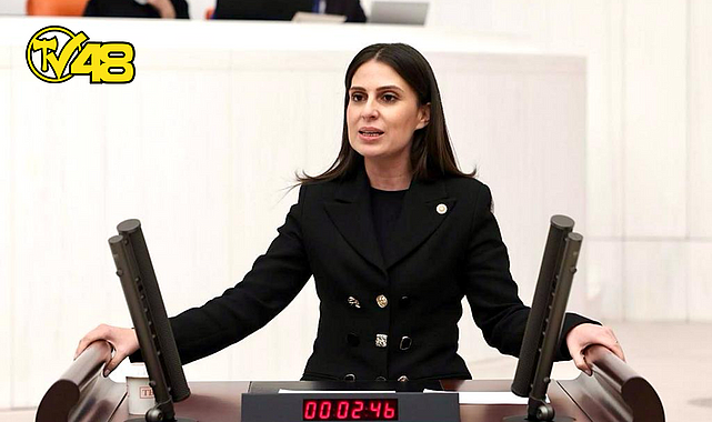 ÖZCAN, DALAMAN, ORTACA VE KÖYCEĞİZ'DEKİ NARENCİYE ÜRETİCİLERİNİN SORUNLARINI MECLİS'E TAŞIDI