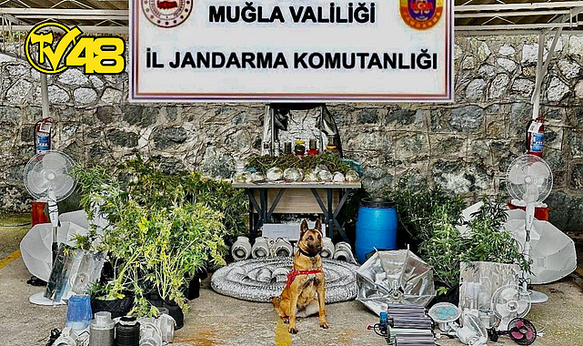MARMARİS’TE UYUŞTURUCU OPERASYONU