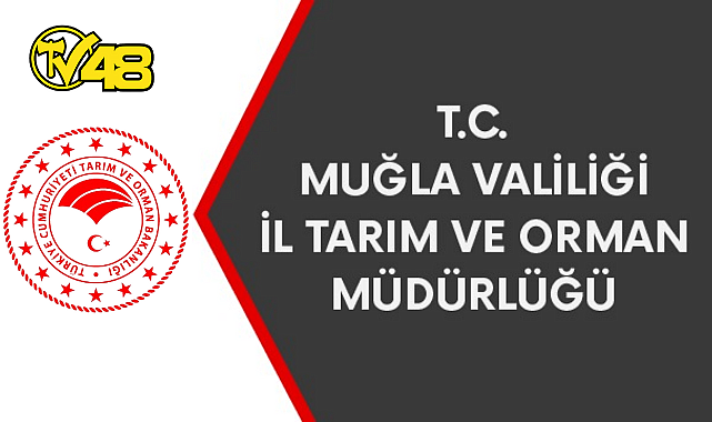 DENİZLERDE AV YASAĞI BAŞLADI!