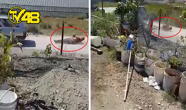 DEHŞETE DÜŞÜREN GÖRÜNTÜ TÜRKİYE'DEN! KOMŞUSUNU ARACININ ARKASINA BAĞLAYIP METRELERCE SÜRÜKLEDİ