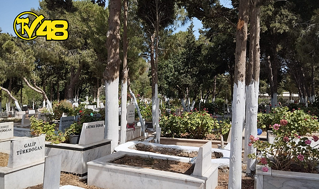 BELEDİYE CENAZE HİZMETLERİ BİRİMİ ÇALIŞMALARI
