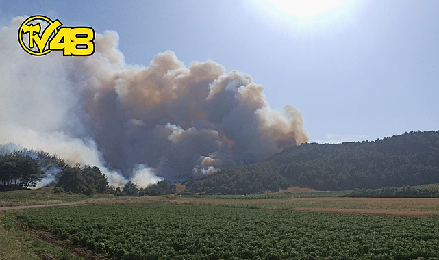 ÇANAKKALE'DE ORMAN YANGINI! GEMİ TRAFİĞİ ASKIYA ALINDI