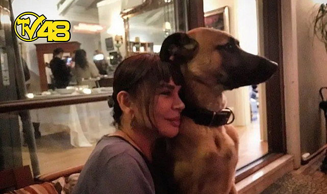 SEZEN AKSU BODRUM'DAKİ EVİNİ SOKAK HAYVANLARINA AÇTI