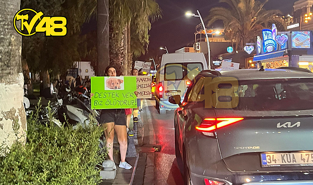 BODRUM'DA HAYVANSEVERLERDEN YENİ KANUN TEKLİFİNE BÜYÜK TEPKİ: "YASAYI GERİ ÇEK"
