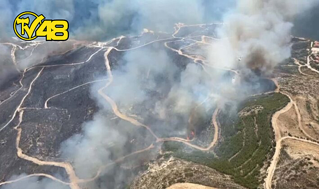 ÇEŞME'DE ORMAN YANGINI!