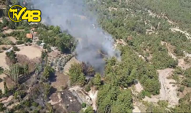KÖYCEĞİZ'DE EV YANGINI ORMANLIK ALANA SIÇRADI