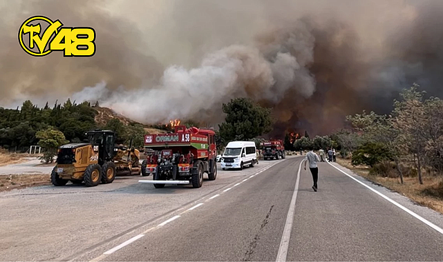 4 İLDE ORMAN YANGINI! EKİPLER ZAMANLA YARIŞIYOR