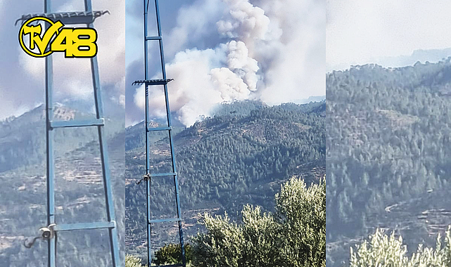 AYDIN'IN BOZDOĞAN İLÇESİNE BAĞLI ALHİSAR MAHALLESİ YAKINLARINDA YANGIN
