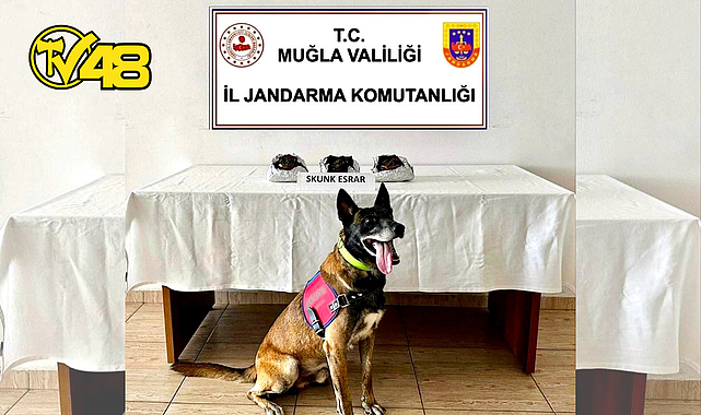 BODRUM’DA UYUŞTURUCU OPERASYONU
