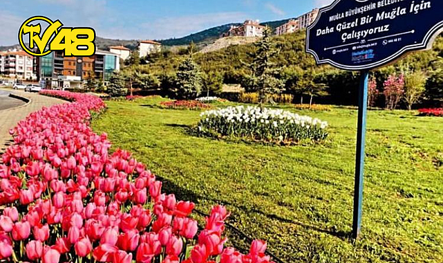 BÜYÜKŞEHİR'DEN MUĞLA'YA 59 FUTBOL SAHASI BÜYÜKLÜĞÜNDE YEŞİL ALAN