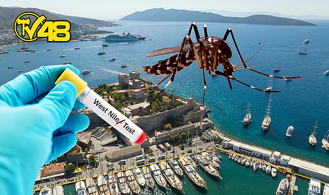 MUĞLA İL SAĞLIK MÜDÜRLÜĞÜ AÇIKLADI: BODRUM'DA ALARM VERİLDİ! BODRUMA GELEN BİR TURİSTTE BATI NİL VİRÜSÜ ORTAYA ÇIKTI