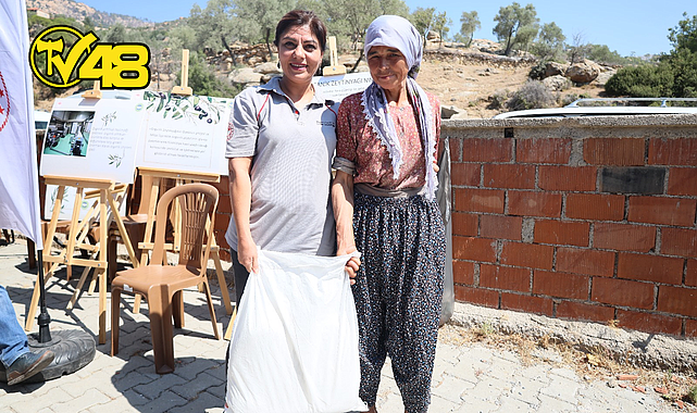 MUĞLA İL TARIM VE ORMAN MÜDÜRLÜĞÜ ZEYTİN ÜRETİCİLERİNE ÜCRETSİZ KAOLİN KİLİ DAĞITILIYOR