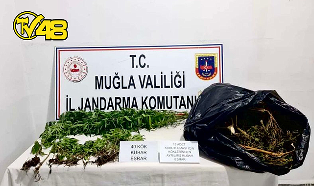 SEYDİKEMER'DE UYUŞTURUCU OPERASYONU: KENEVİR VE KUBAR ESRAR ELE GEÇİRİLDİ