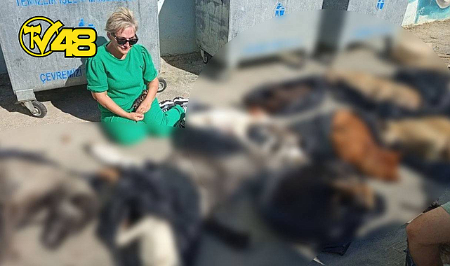 GEBZE'DE HAYVAN KATLİAMI! BELEDİYENİN BARINAĞINDA SKANDAL GÖRÜNTÜLER