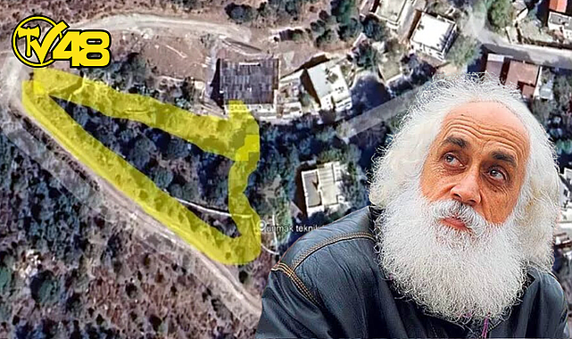 AKBELEN'DE AĞAÇ KESİMİNİ ELEŞTİREN ŞARKICI SUAVİ, BODRUM'DA AĞAÇ KATLİAMI YAPTI