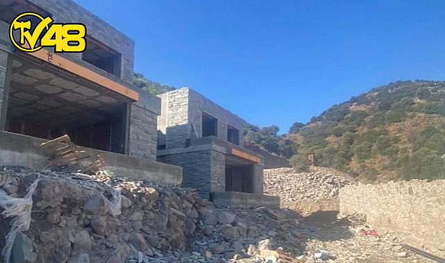 BAKANLIK, SUAVİ'NİN ARSASINDA KESİLEN AĞAÇLAR İLE İLGİLİ İNCELEME BAŞLATTI