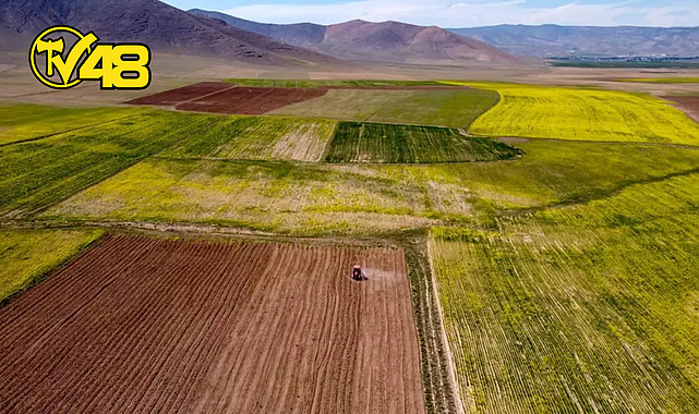 TARIM VE ORMAN BAKANLIĞI'NDAN ATIL DURUMDAKİ ARAZİLER İÇİN TOPLULAŞTIRMA HAMLESİ