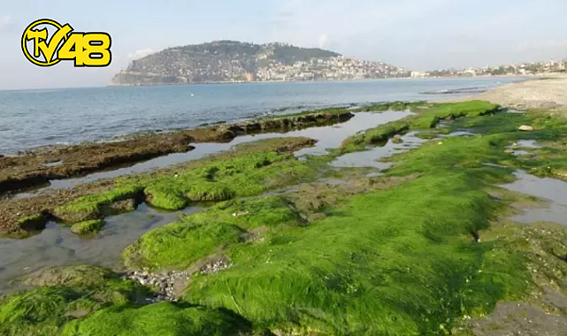 DENİZ SUYU 7-8 METRE ÇEKİLDİ, AKILLARA EGE'DEKİ DEPREM FIRTINASI GELDİ