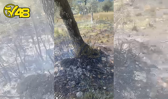 AKBÜK'TE BAŞLAYAN YANGIN BÜYÜMEDEN ÖNLENDİ