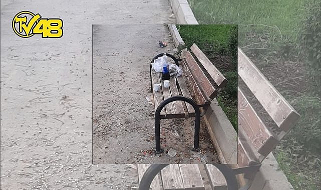 AYDINLIKEVLER MAHALLESİ'NDE ÇEVRE SORUNU: AYNI MANZARA HER SABAH KARŞILARINDA