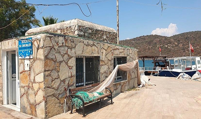 DENİZLERDE AV YASAĞI BAŞLADI: MUĞLA'DA GIRGIR VE TROL AVCILIĞINA ARA VERİLDİ