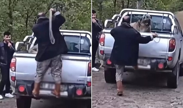 KAMYONET KASASINDAKİ KÖPEĞİ HALATLA DÖVDÜ