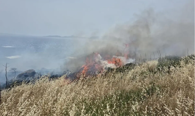 BODRUM'DA 5 HEKTARLIK ALAN KÜL OLDU