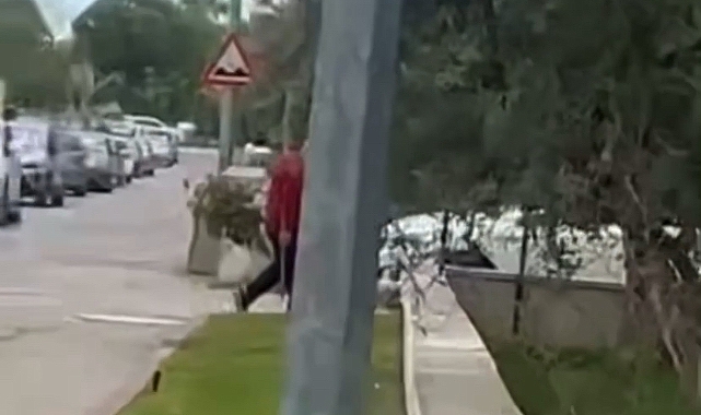 Cami Bahçesindeki Güller Tek Tek Toplandı